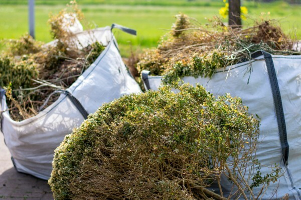 Garden Clearance