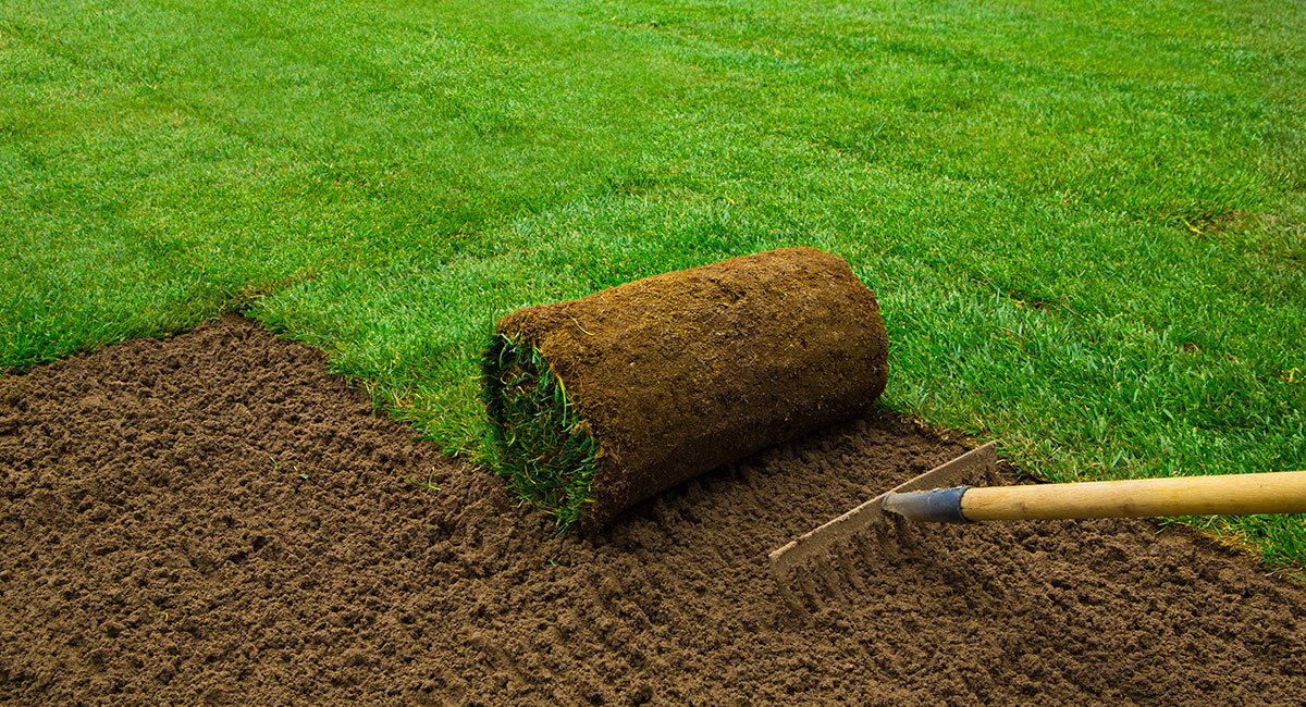 New Lawns & Turfing