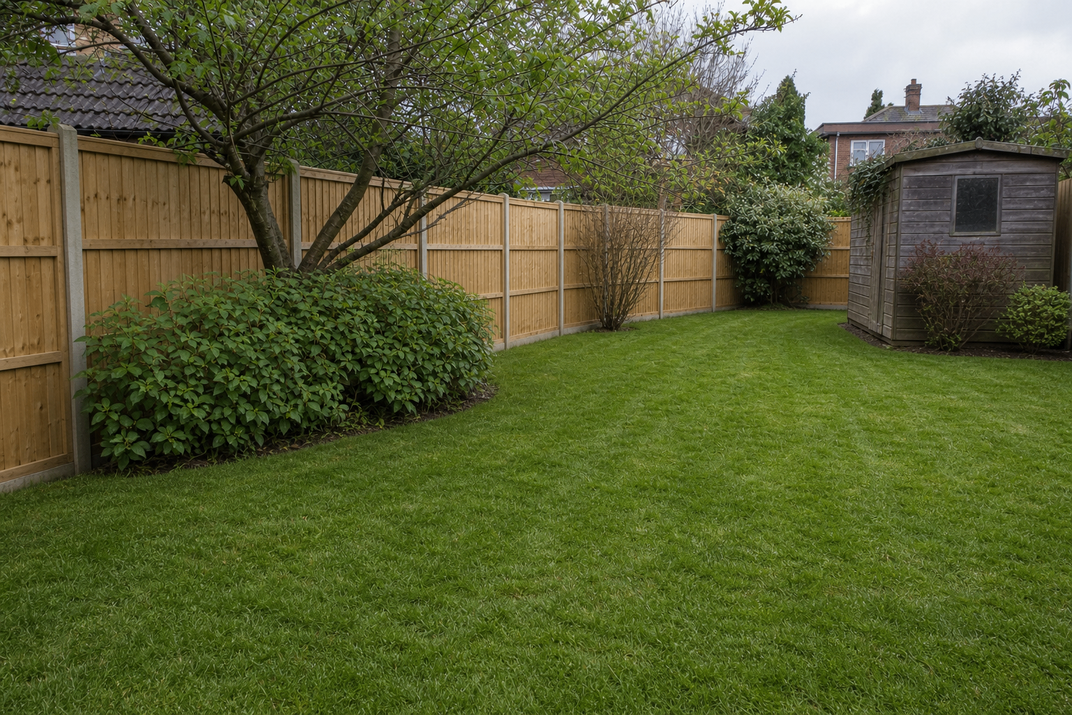 Freshly landscaped lawn after transformation
